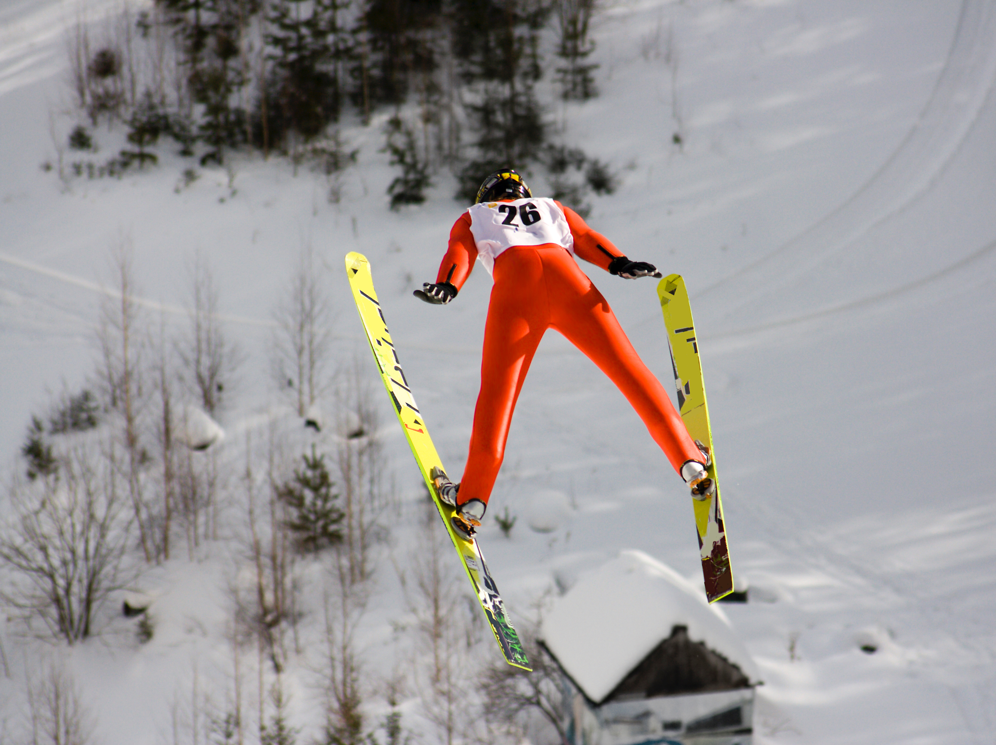 Smučarski skoki in ogled tekme