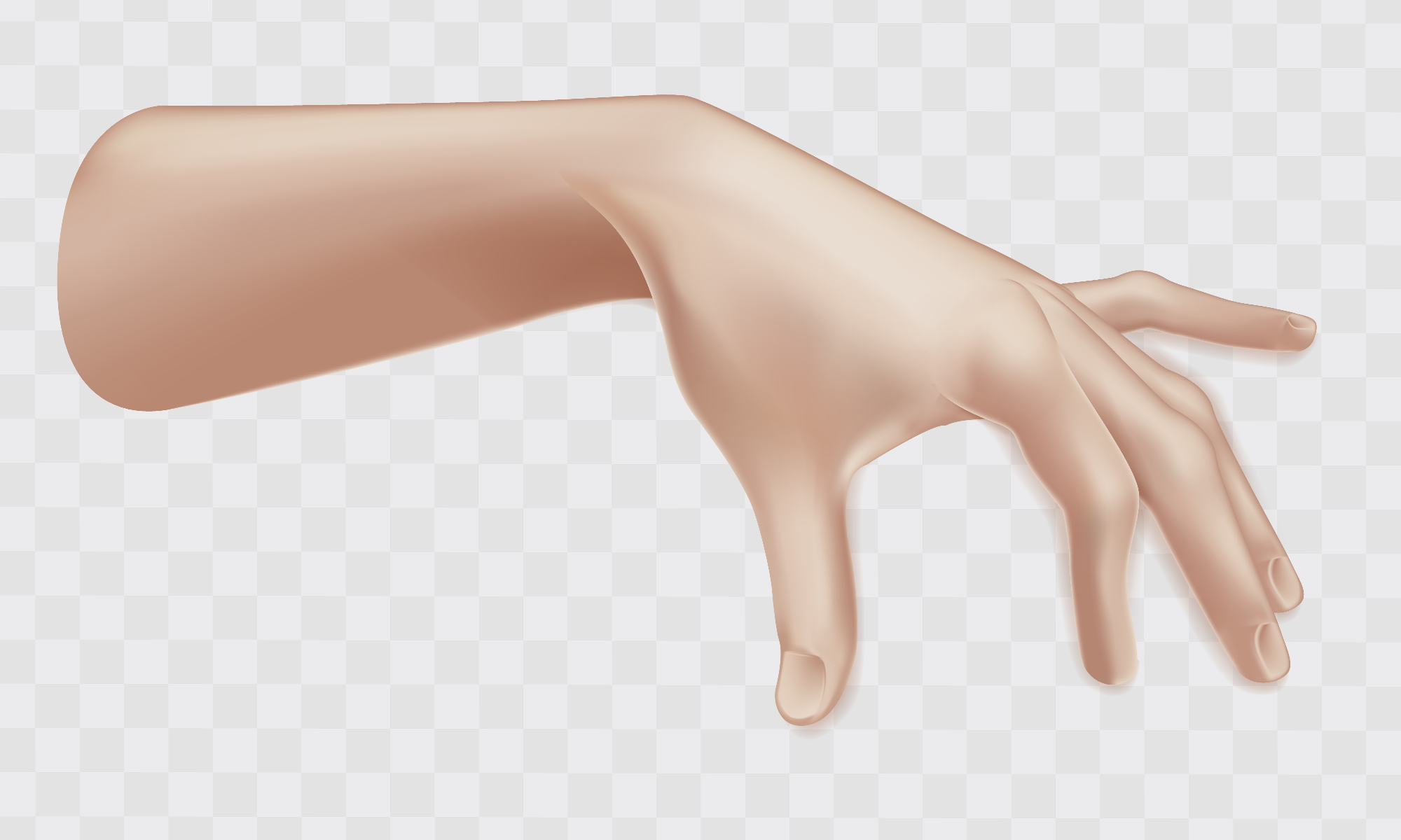 Kako vemo, da so mravljinci v levi roki nenevarni